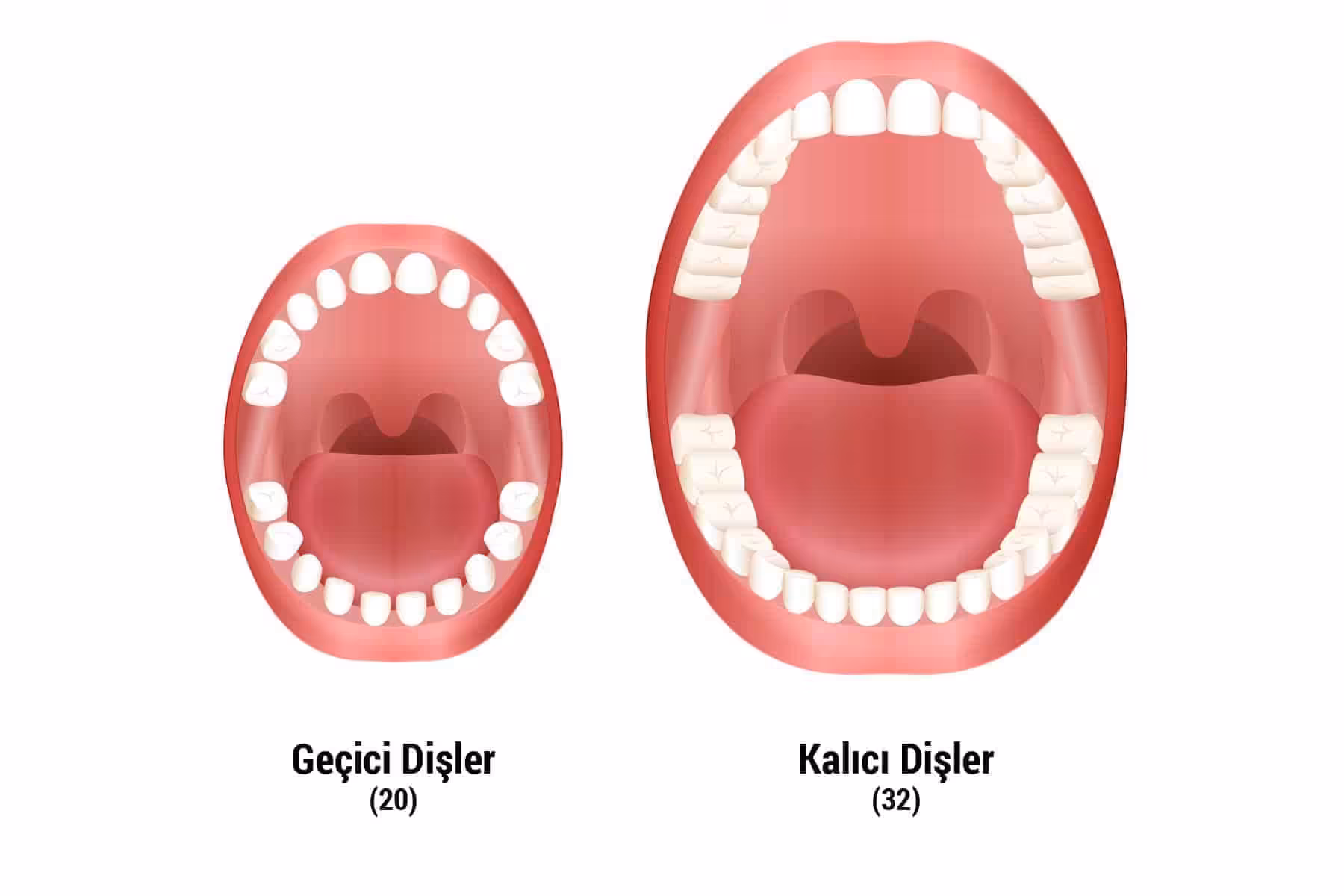 Dişler Sürmeden Önce Nelere Dikkat Etmeliyiz?