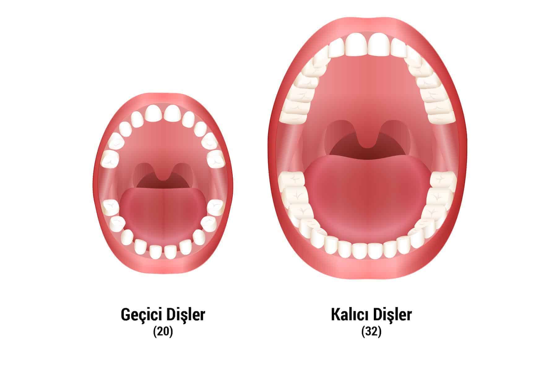 Dişler Sürmeden Önce Nelere Dikkat Etmeliyiz?