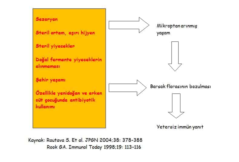 İnek Sütü Alerjisi Nedenleri