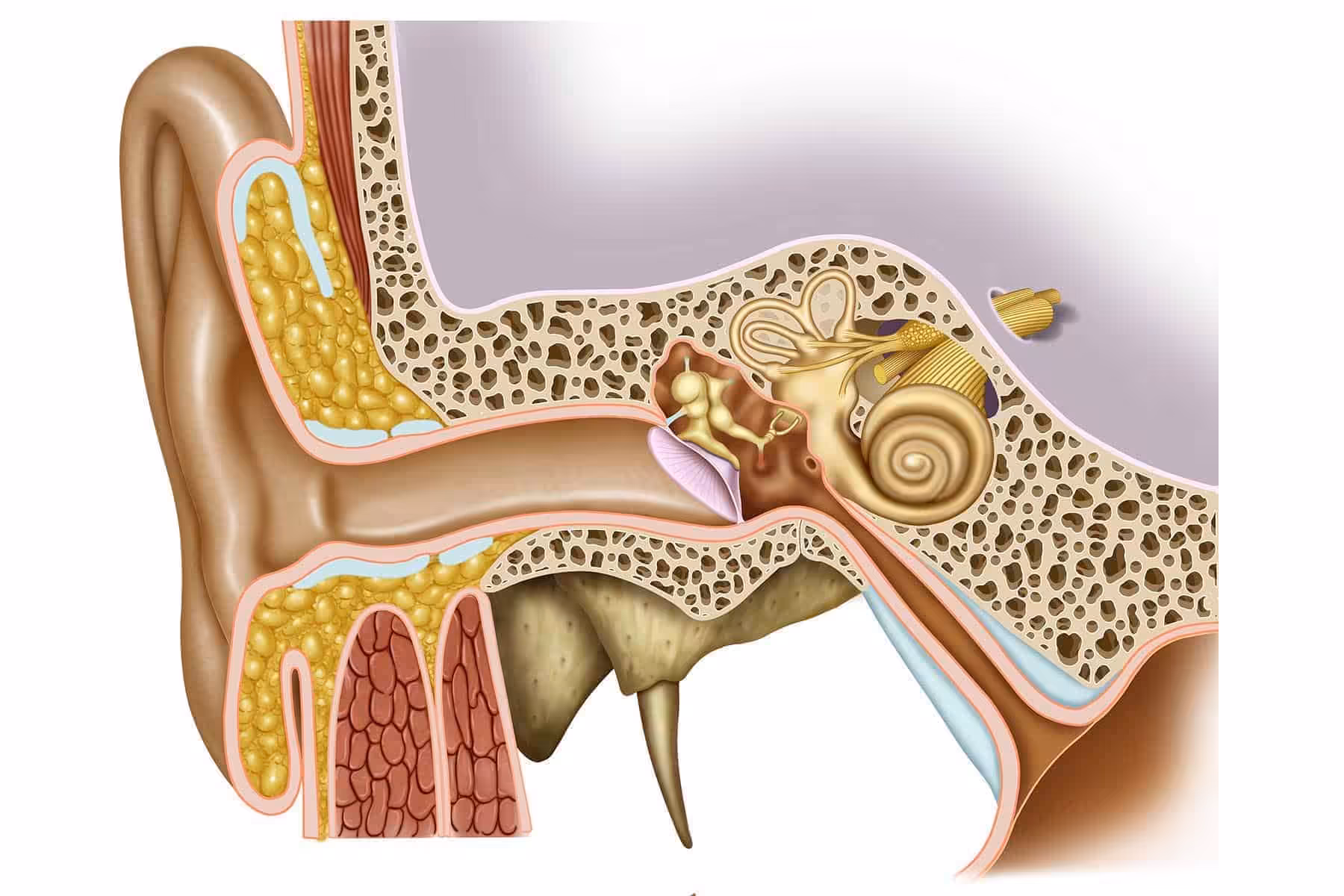 Kulağa Tüp Takılması